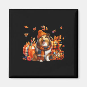 Shetland Sheepdog Thanksgiving Leopard Pumpkins Fa Magneet
