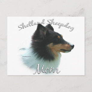 Shetland Sheepdog (tri) Mam 2 Briefkaart