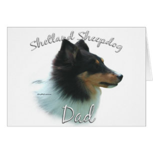 Shetland Sheepdog (tri) Papa 2