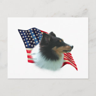Shetland Sheepdog (tri) Vlag Briefkaart