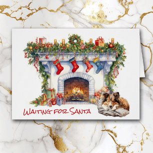 Shetland Sheepdog Wachten op de Kerstman