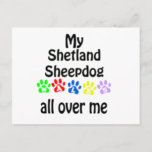Shetland Sheepdog Walks Design Briefkaart