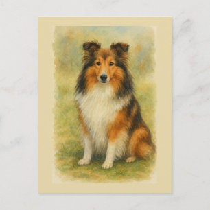 Shetland Sheepdog Zittende Aquarel  Briefkaart