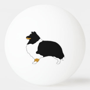 shetland sheepdog zwart wit en tan silo pingpongballen