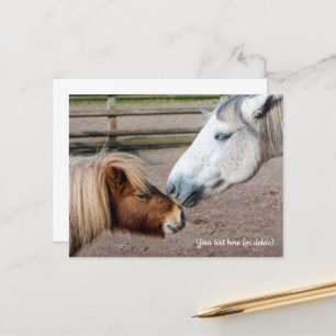 Shetlandpony en Highlandpony Briefkaart