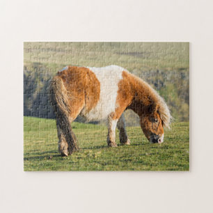 Shetlandpony op weiland nabij hoge kliffen legpuzzel