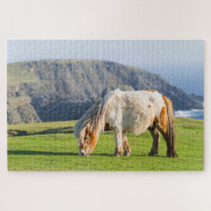 Shetlandpony op weiland nabij hoge kliffen legpuzzel