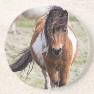 Shetlandpony, Shetlandeilanden Zandsteen Onderzetter
