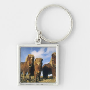 Shetlandpony, vasteland Shetland-eilanden, Sleutelhanger
