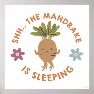 Shh.. De Mandrake slaapt Poster