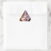 Shhh Driehoek Sticker (Tas)