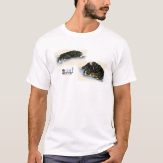 Shhhh-- T-shirt de sommeil Berners