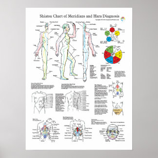 Shiatsu Acupuncture Meridians en Hara Diagnosis Poster