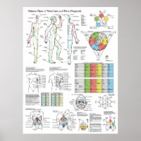 Shiatsu Acupunctuur Meridians Hara Diagnosis Chart