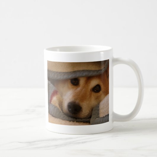 Shiba dans une tasse couvrante (Droite)