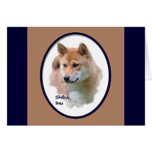 Shiba Inu