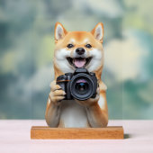 Shiba Inu (Neutre)