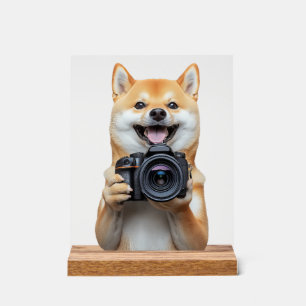 Shiba Inu