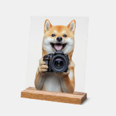 Shiba Inu (Angle)