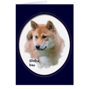 Shiba Inu