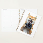 Shiba Inu     (Devant avec enveloppe)