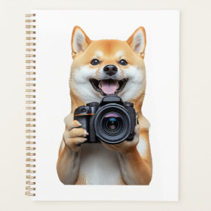 Shiba Inu    