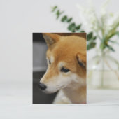 Shiba Inu Briefkaart (Staand voorkant)