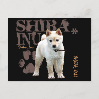 Shiba Inu Briefkaart
