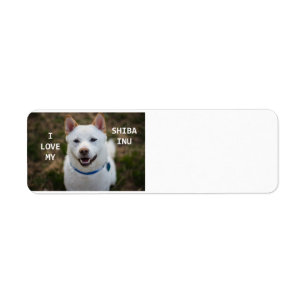 shiba-inu-crème liefde met pic etiket