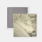 Shiba Inu Frigo Magnet Husky Dog Magnet Cadeau (Recto/Verso)