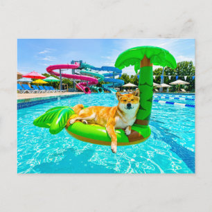 Shiba Inu op palm drijver Briefkaart
