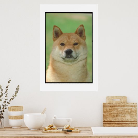 Shiba Inu Poster (Keuken)