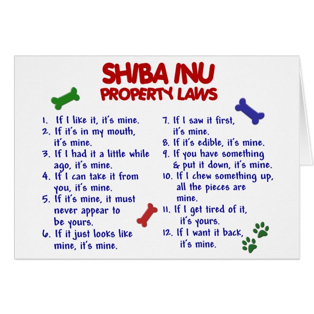 SHIBA INU Property Laws 2 (Voorkant Horizontaal)