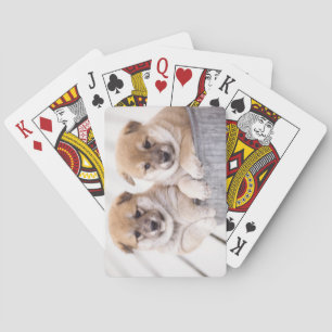 Shiba Inu-puppies in aluminiumbad Speelkaarten