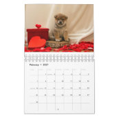 Shiba Inu Puppies Kalender (Feb 2027)