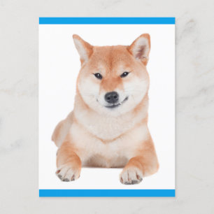 Shiba Inu Puppy Dog Greeting Post Kaart