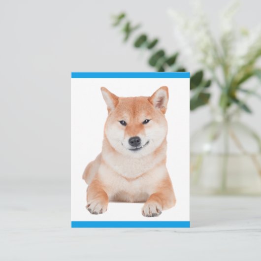 Shiba Inu Puppy Dog Greeting Post Kaart (Staand voorkant)