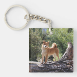 Shiba Inu Sleutelhanger