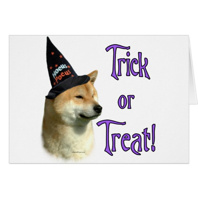 Shiba Inu Trick (Devant horizontal)