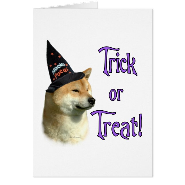 Shiba Inu Trick (Devant)