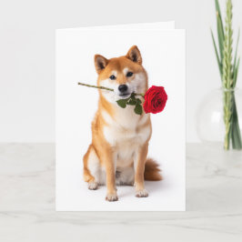 Shiba Inu Valentijn Kaart