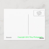 Shidler Water Herfst Briefkaart (Achterkant)