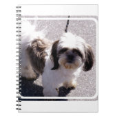 Shih Tsu Puppy notebook Notitieboek (Voorkant)