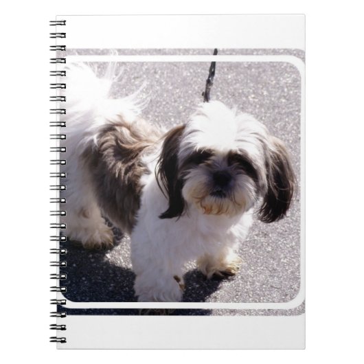 Shih Tsu Puppy notebook Notitieboek (Voorkant)