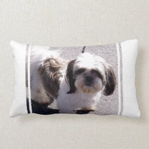 Shih Tsu Puppy Pillow Kussen