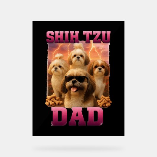 Shih Tzu (Recto)