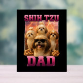 Shih Tzu (Neutre)