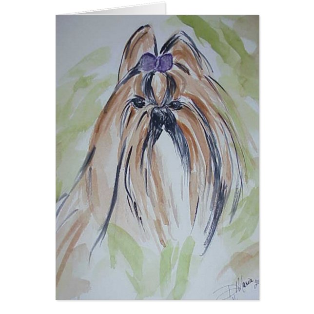 Shih Tzu (Devant)