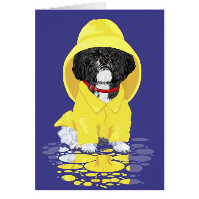 Shih Tzu April Showers (Voorkant)