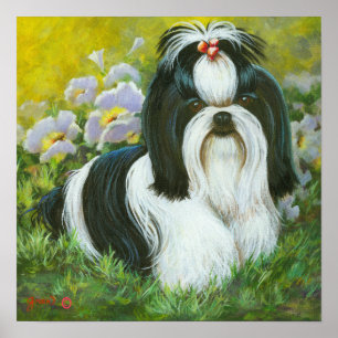 Shih Tzu Art Print op Canvas